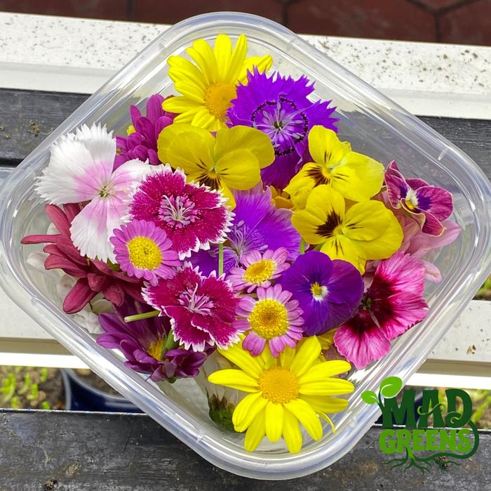 MADGreens - Mix Edible Flowers - Garnish - Fresh Cut foto 2