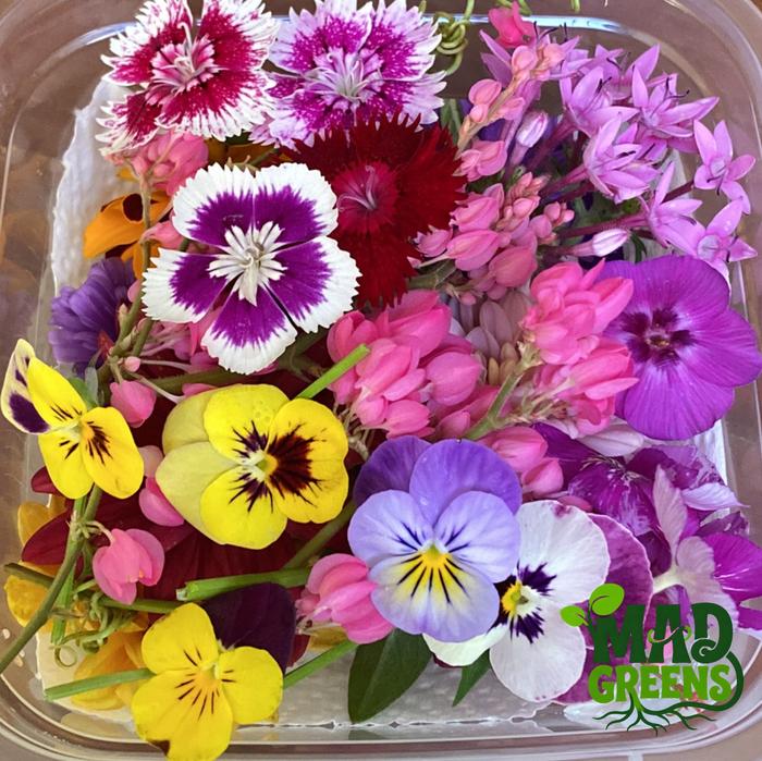 MADGreens - Mix Edible Flowers - Garnish - Fresh Cut foto 3