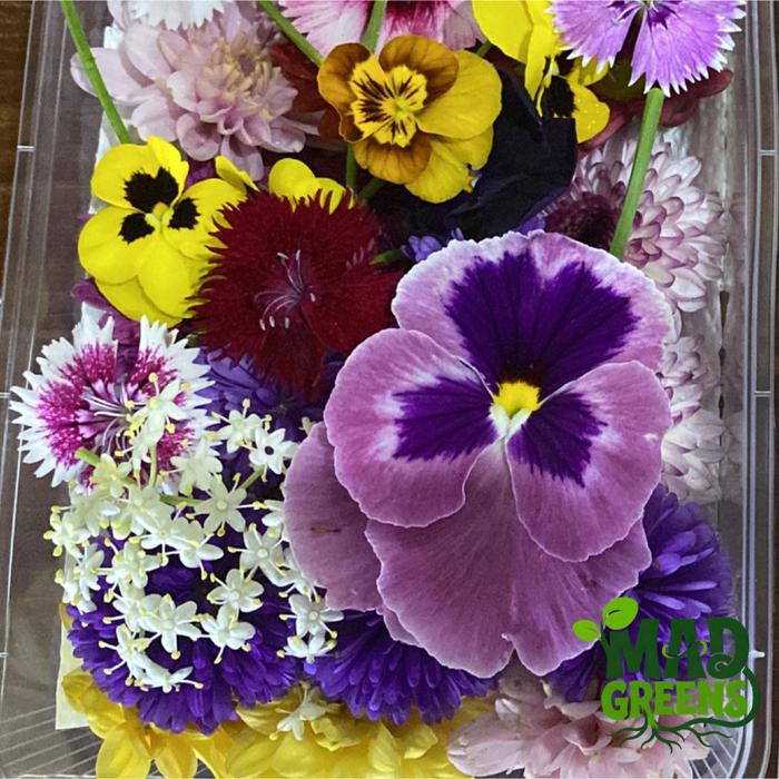 MADGreens - Mix Edible Flowers - Garnish - Fresh Cut foto 4