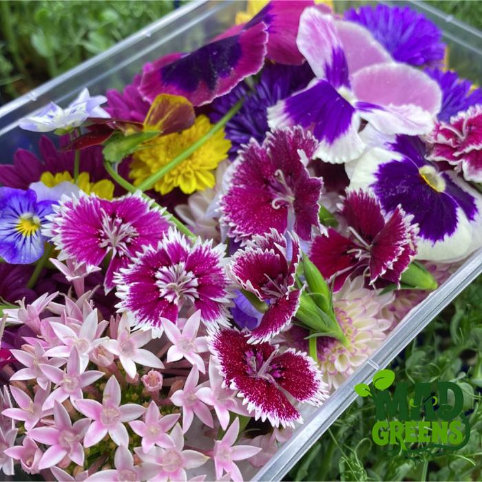 MADGreens - Mix Edible Flowers - Garnish - Fresh Cut foto 5