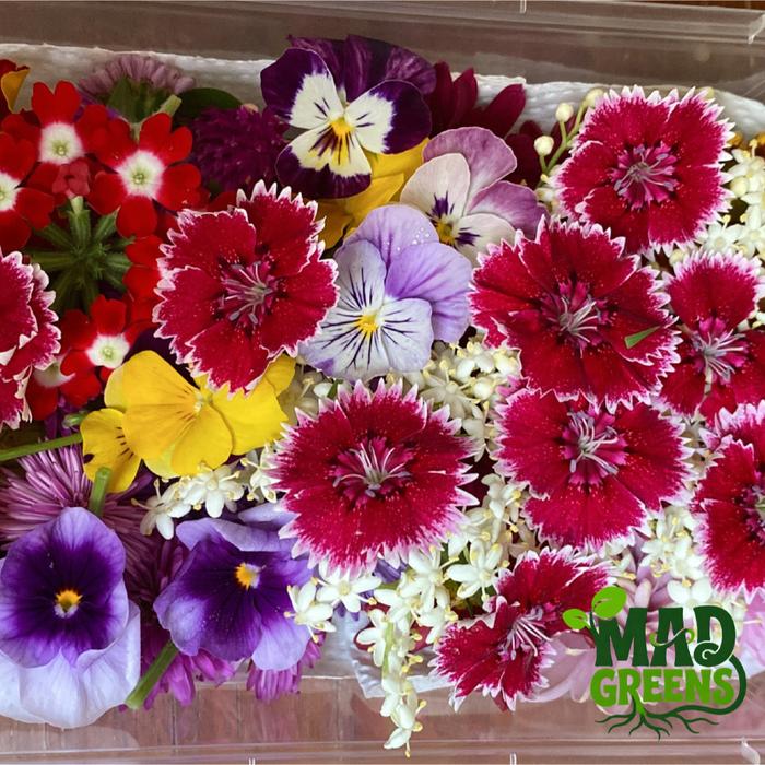 MADGreens - Mix Edible Flowers - Garnish - Fresh Cut foto 6