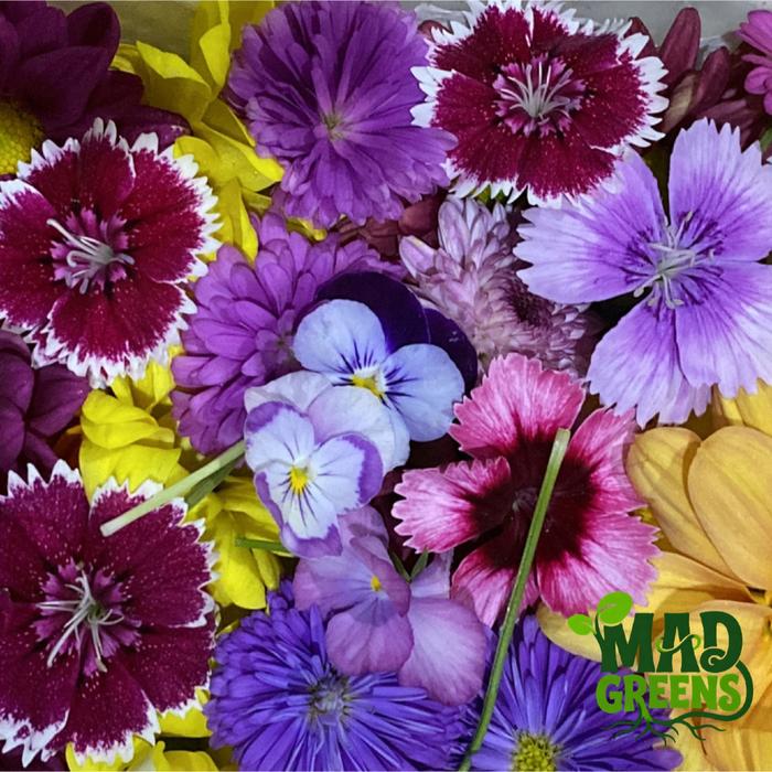 MADGreens - Mix Edible Flowers - Garnish - Fresh Cut foto 7
