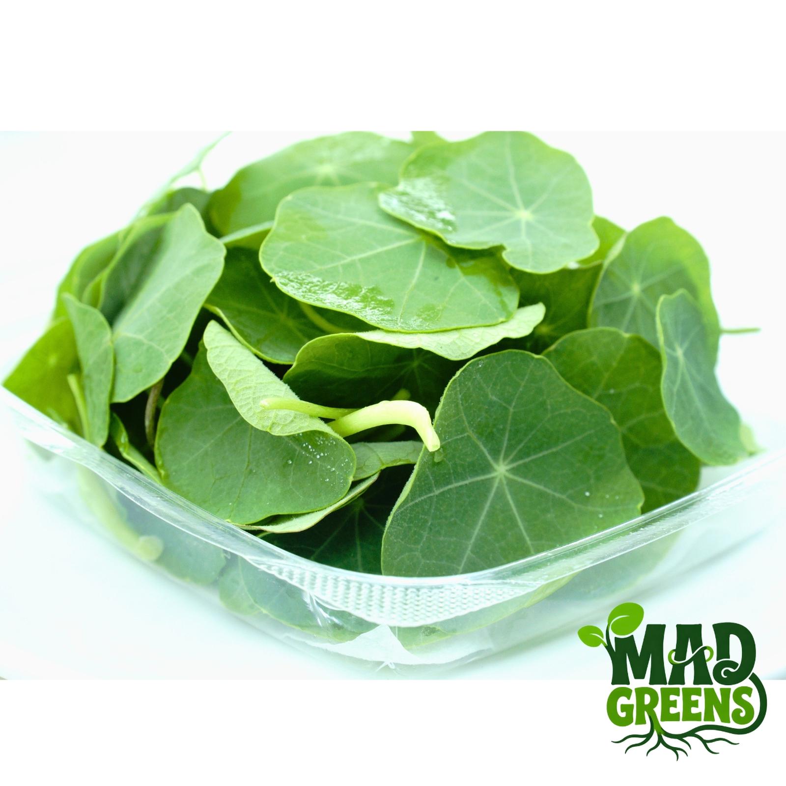 MADGreens - Nasturtium Leaf - Garnish - Fresh Cut