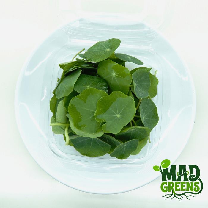 MADGreens - Nasturtium Leaf - Garnish - Fresh Cut foto 2