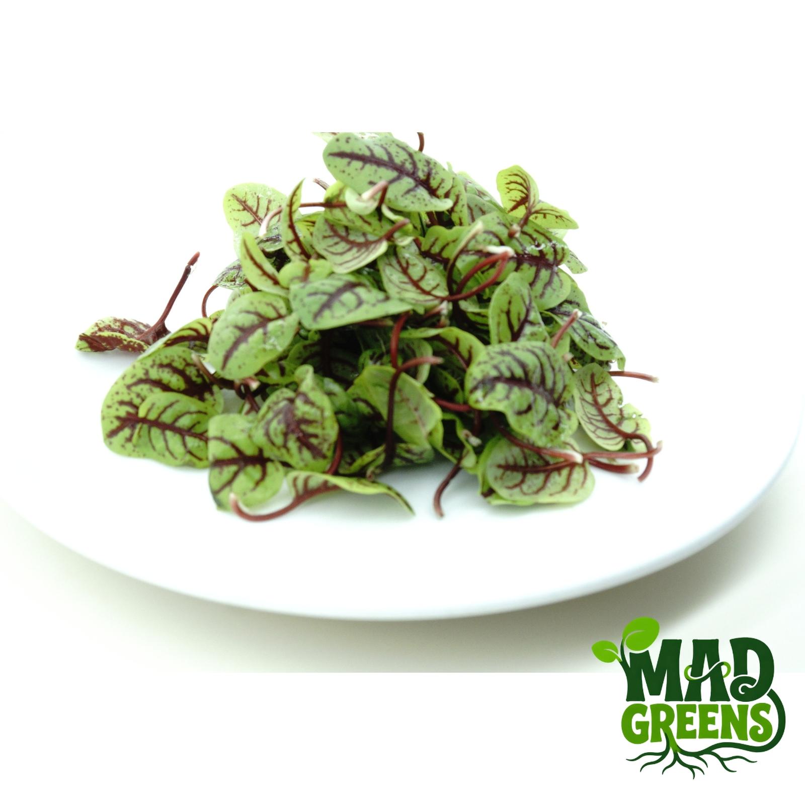 MADGreens - Red Sorrel Leaf - Salad Microgreen - Fresh Cut - 25