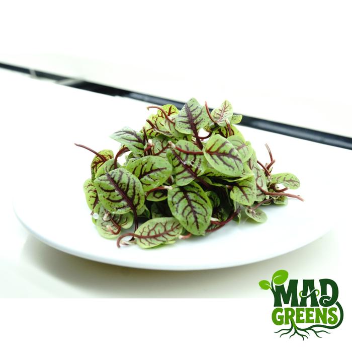 MADGreens - Red Sorrel Leaf - Salad Microgreen - Fresh Cut - 25 foto 2