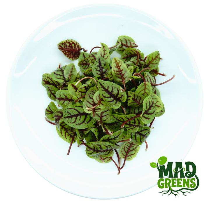 MADGreens - Red Sorrel Leaf - Salad Microgreen - Fresh Cut - 25 foto 3