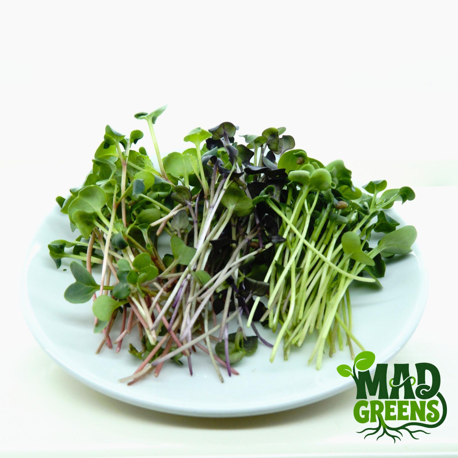 MADGreens - Microgreens Mix Radish 50gr - Salad Microgreen - Fresh Cut