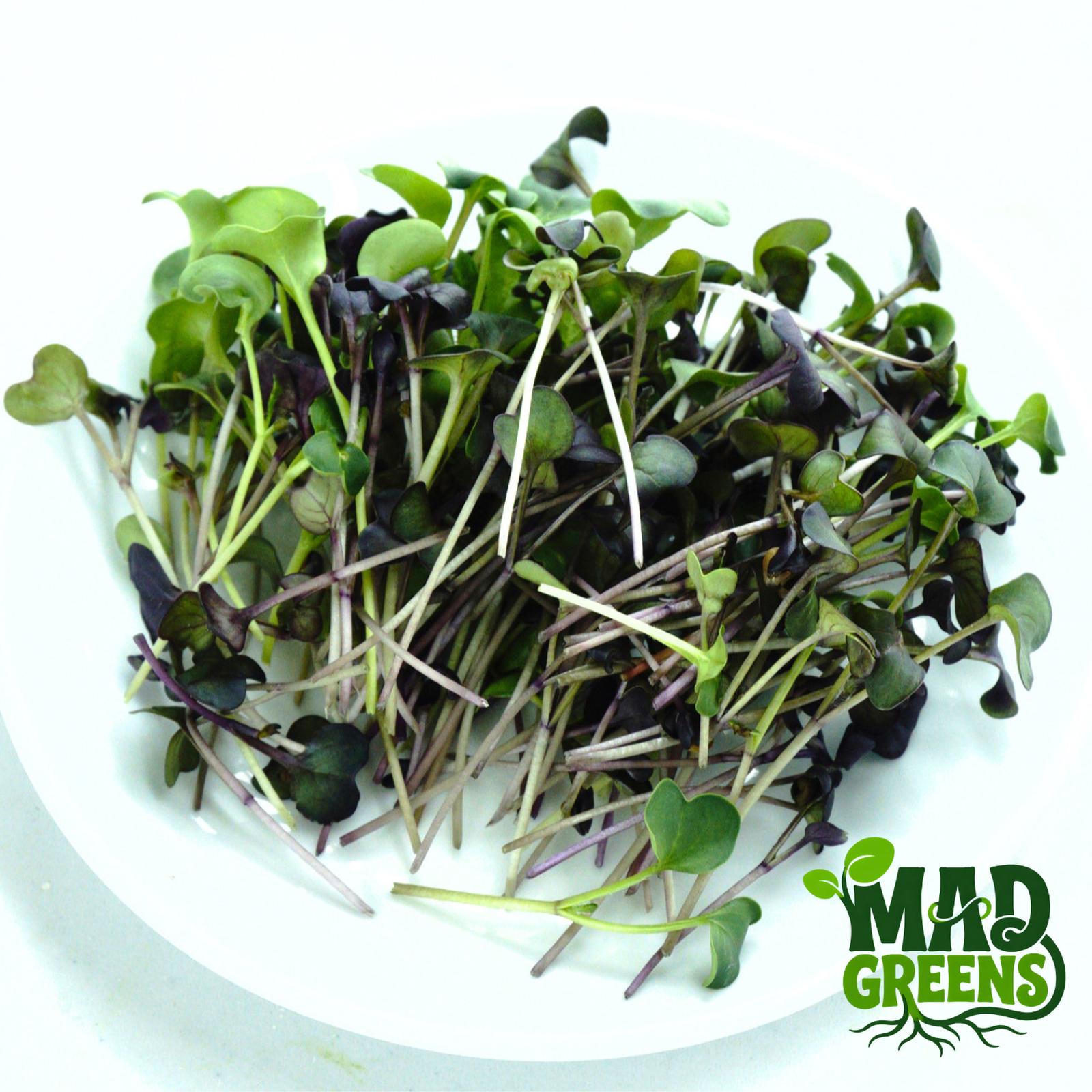 MADGreens - Microgreens Purple Radish 50gr - Salad Microgreen - Fresh Cut