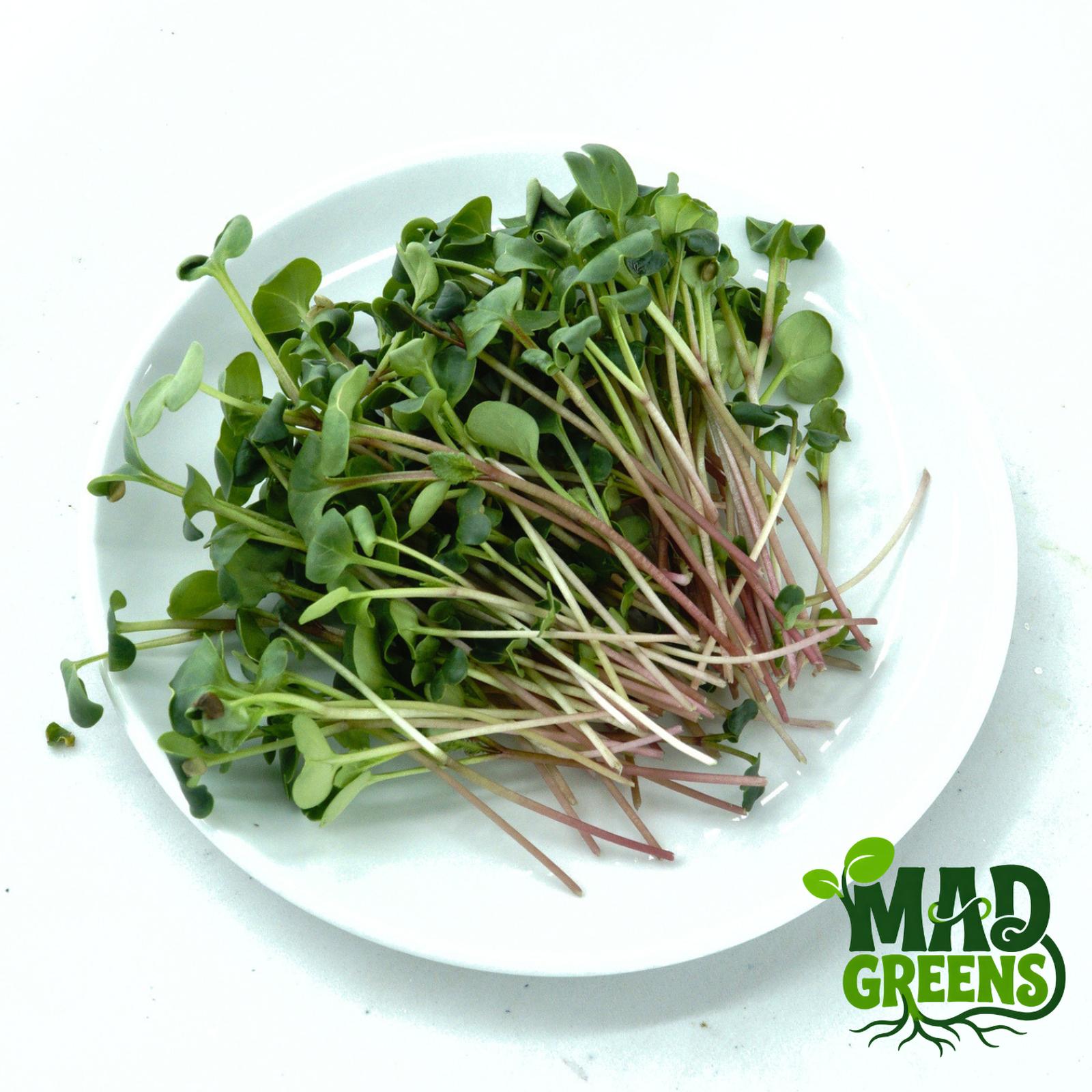 MADGreens - Microgreens Red Radish 50gr - Salad Microgreen - Fresh Cut