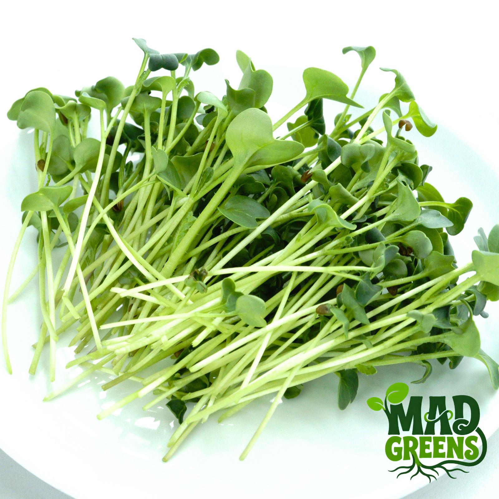 MADGreens - Microgreens White Radish 50gr - Salad Microgreen - Fresh Cut