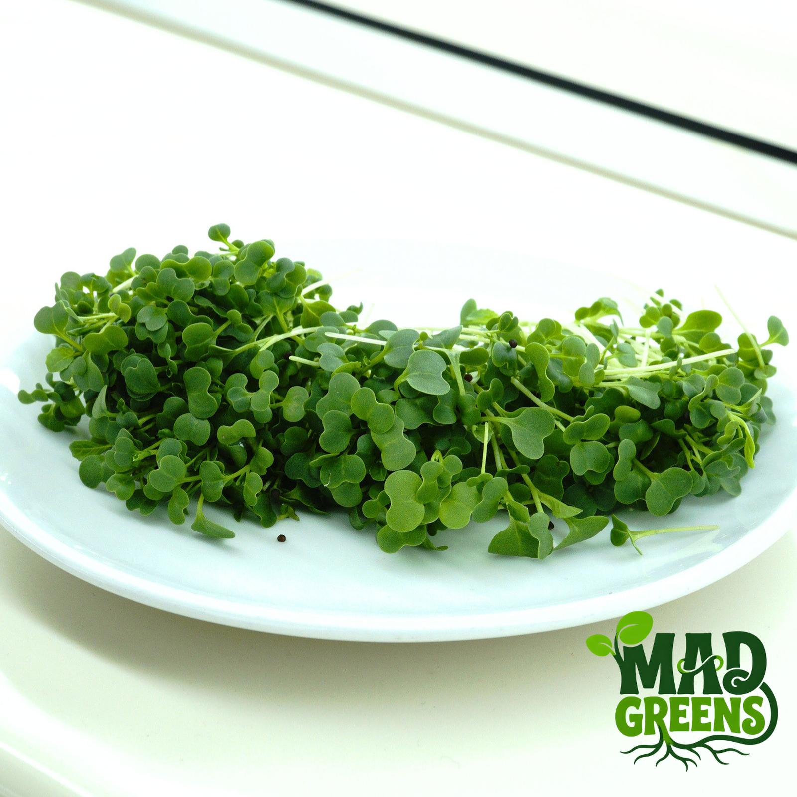 MADGreens - Microgreens Mustard 50gr - Salad Microgreen - Fresh Cut