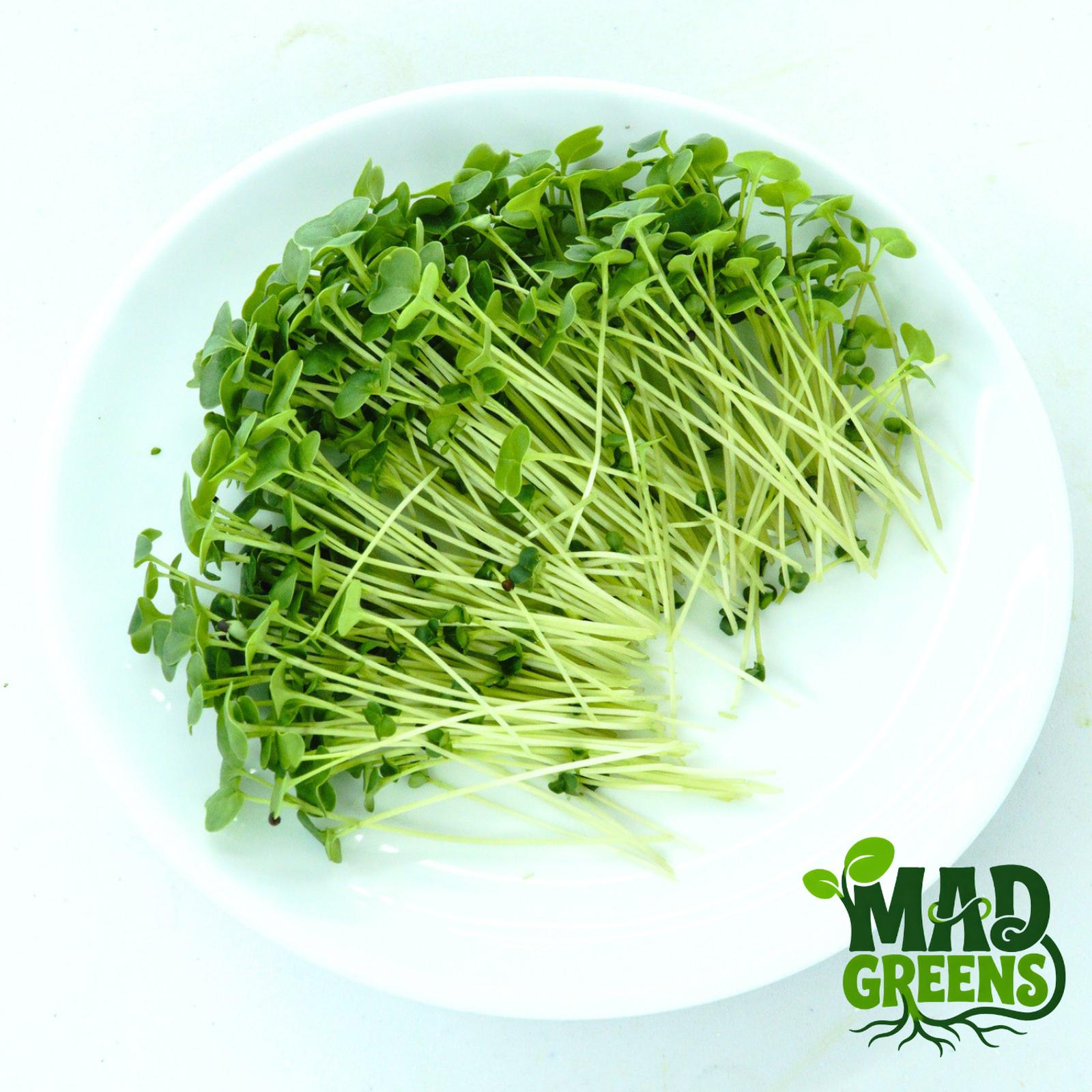 MADGreens - Microgreens Broccoli 50gr - Salad Microgreen - Fresh Cut