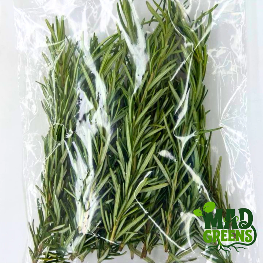 MADGreens - Daun Rosemary Segar 50gr