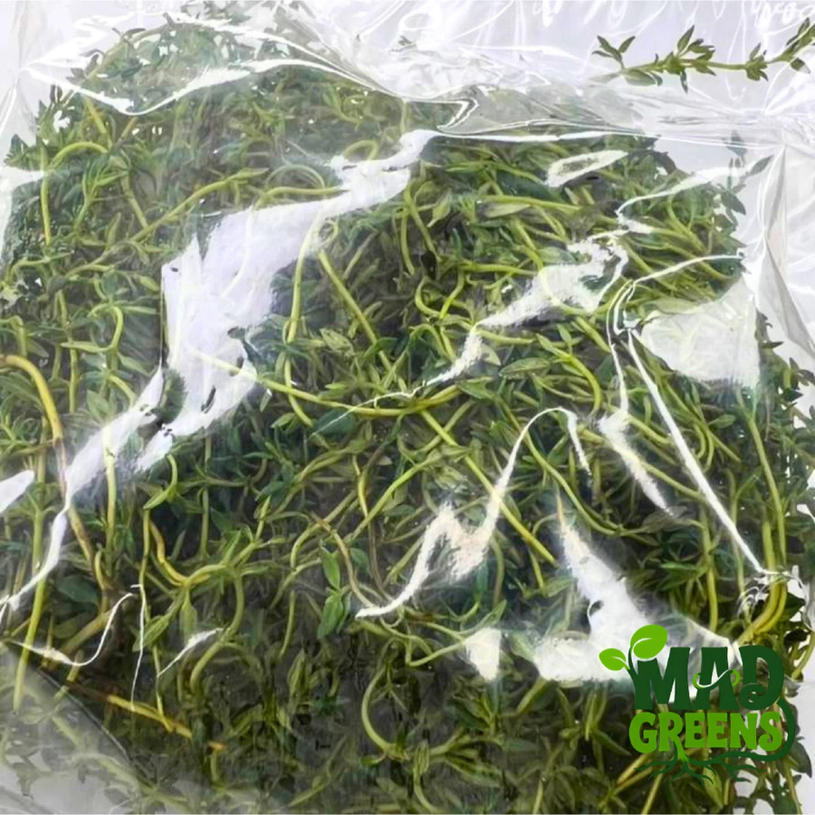 MADGreens - Daun Thyme Segar 50gr
