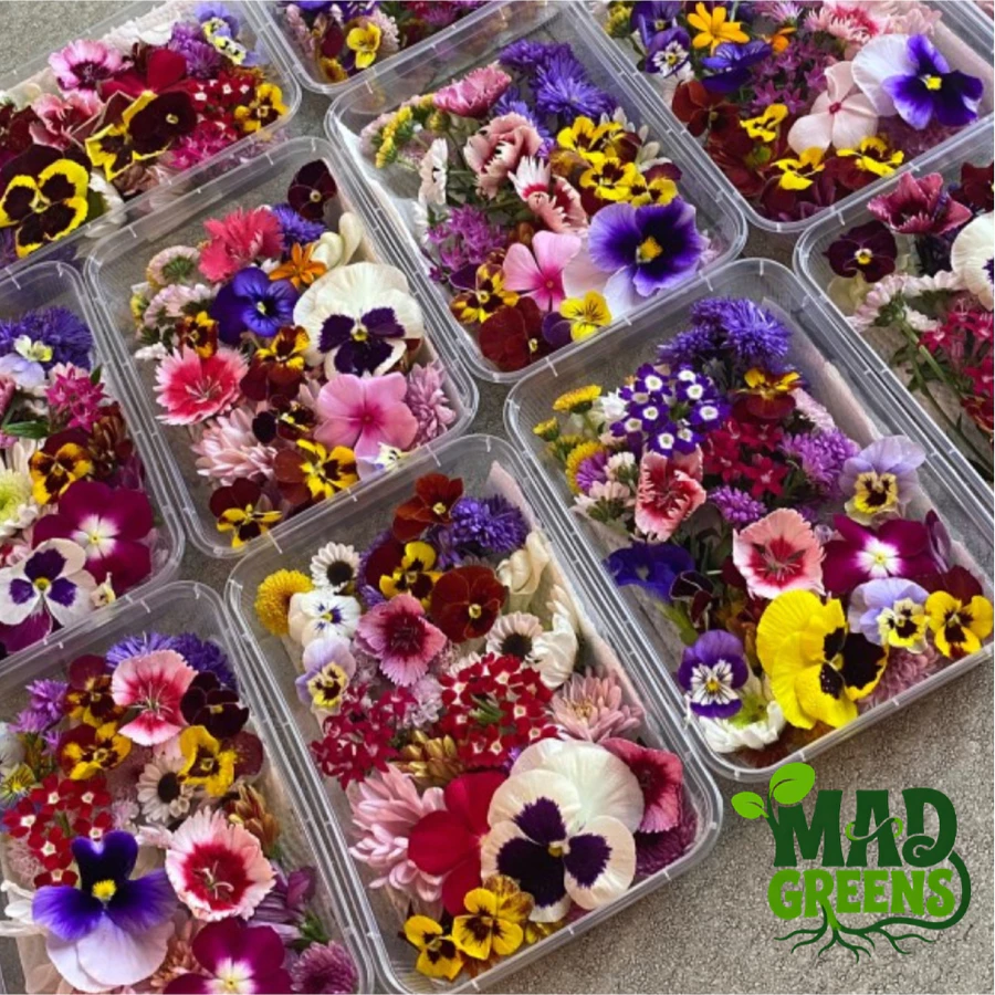 MADGreens - Mix Edible Flowers - Garnish - Fresh Cut -  Pack Besar