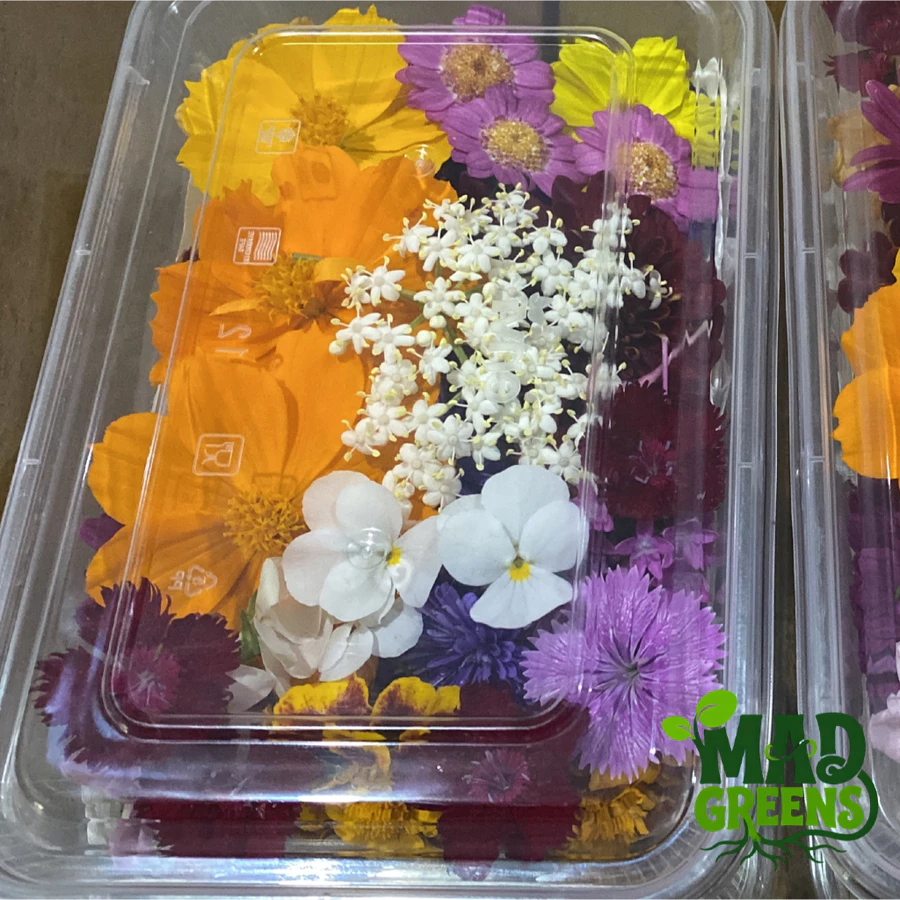 MADGreens - Mix Edible Flowers - Garnish - Fresh Cut -  Pack Besar