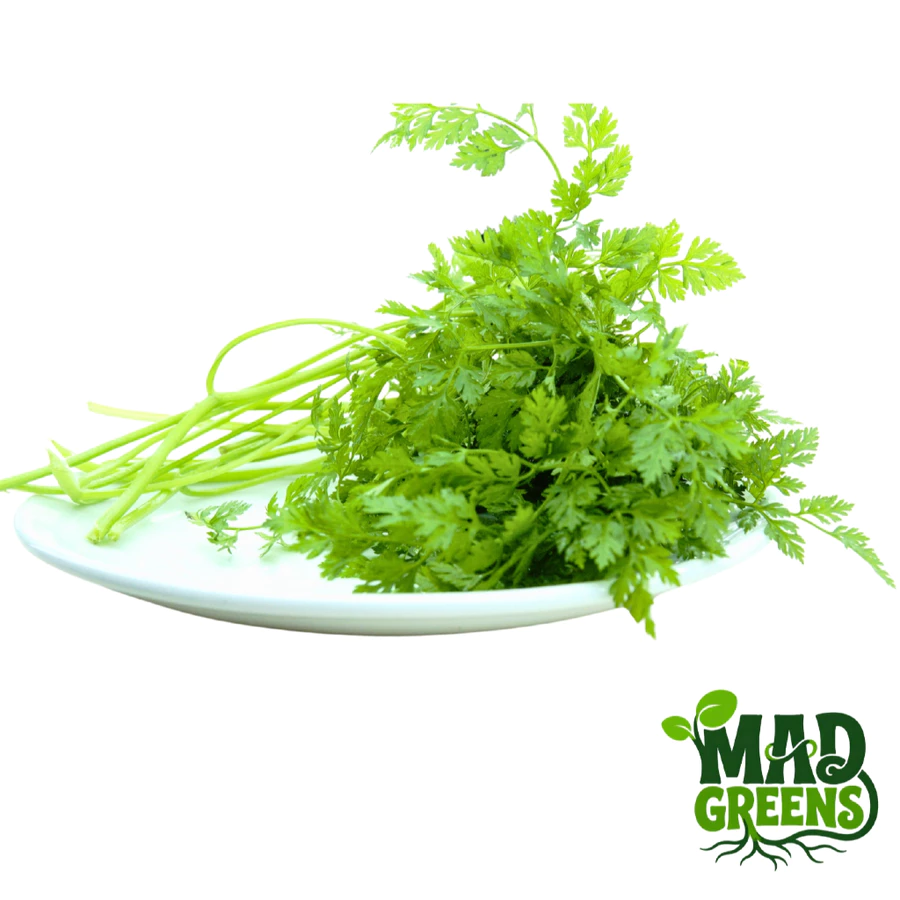MADGreens - Chervil Leaf 30gr - Garnish - Fresh Cut