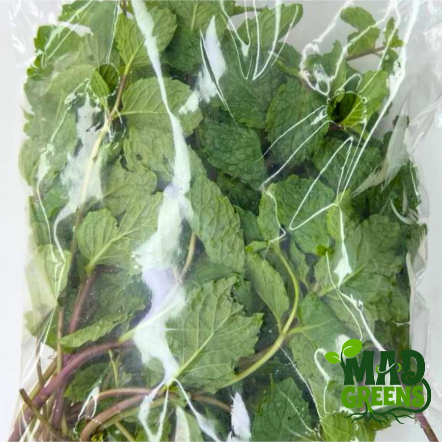 MADGreens - Daun Mint Segar 50gr