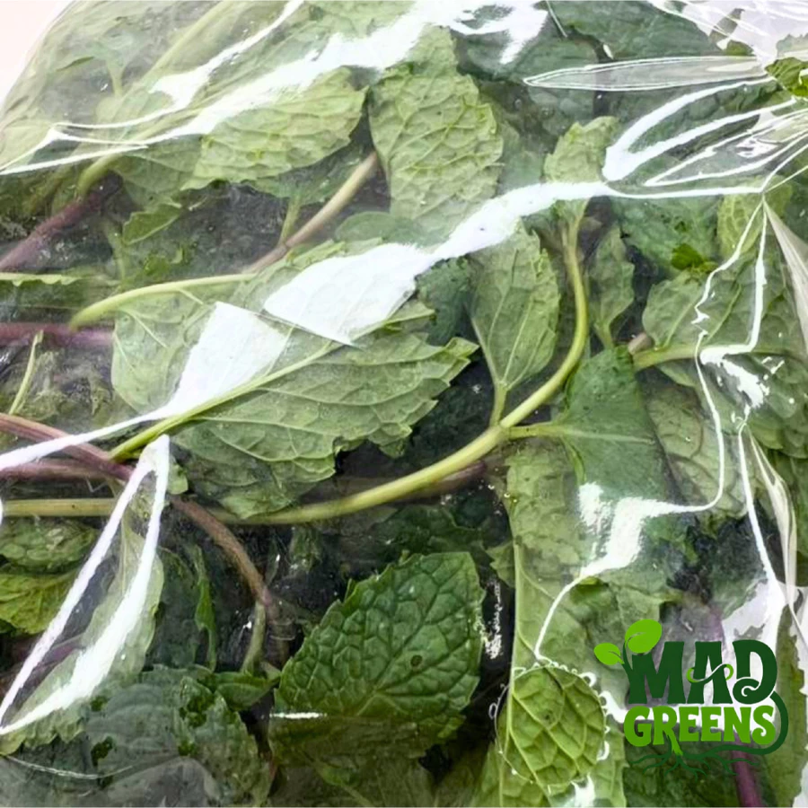 MADGreens - Daun Mint Segar 50gr