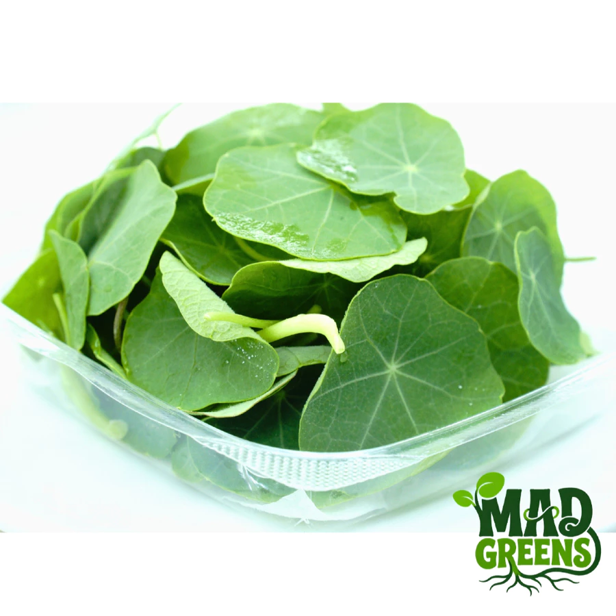 MADGreens Nasturtium Leaf - Garnish - Fresh Cut